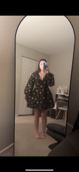 Sculpted V-Neck Tunic Mini Dress | Nuuly