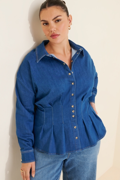 The Tobie Denim Gold Snap Buttondown Top | Nuuly