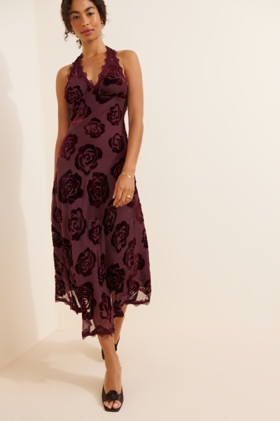 knee length dresses for ladies Star Midi Dress main image 0