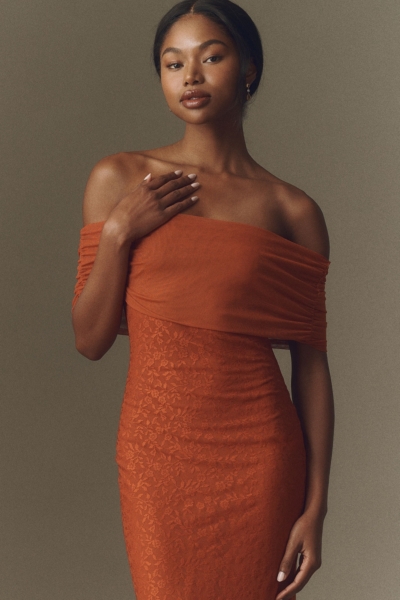 Off-The-Shoulder Lace Mesh Dress | Nuuly