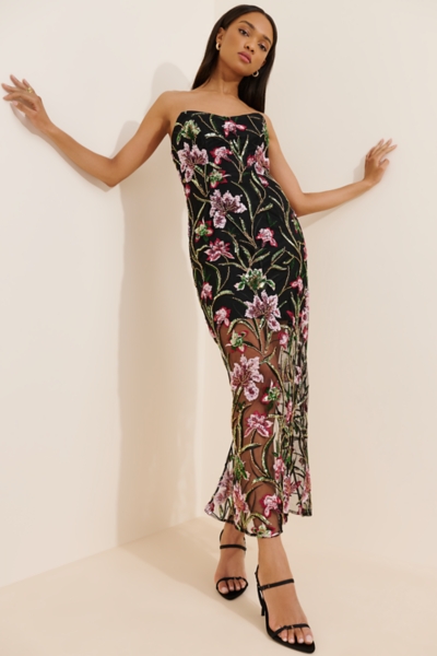 Strapless Embroidered Sheer Dress