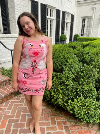 maeve embroidered mini shift dress NWT Anthropologie Maeve Pink Swan Embroidered Mini Shift Dress M Swan Lake  Boho