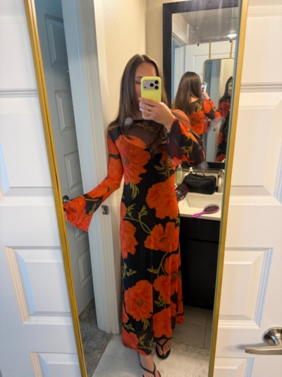 Poppy Mesh Maxi Dress | Nuuly