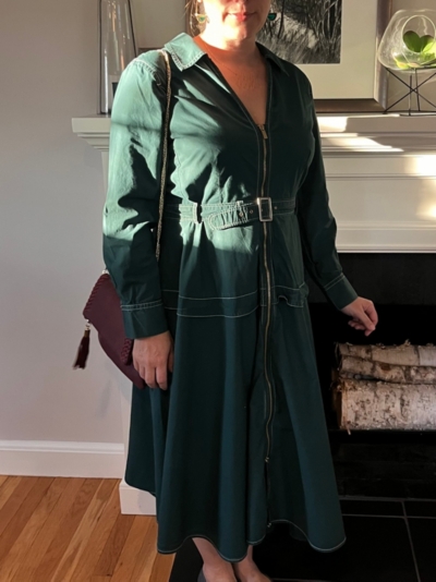 Long-Sleeve Front-Zip Midi Dress | Nuuly