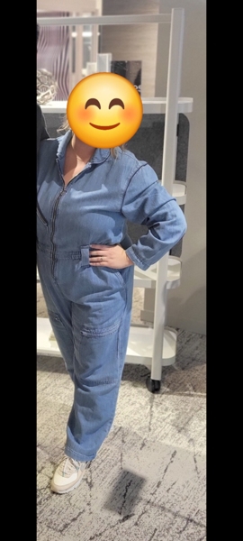 Amelia Denim Coveralls | Nuuly