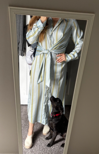 Lacey Stripe Shirt Dress | Nuuly