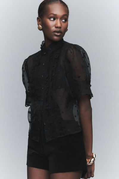 Puff Sleeve Sheer Ruffle Blouse Nuuly