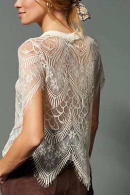 Sheer Lace Blouse | Nuuly