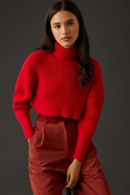 Cropped Ribbed Turtleneck Sweater Nuuly