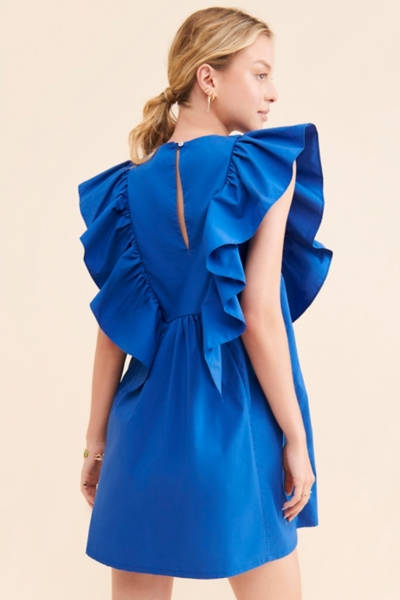Ruffled Waistless Mini Dress | Nuuly