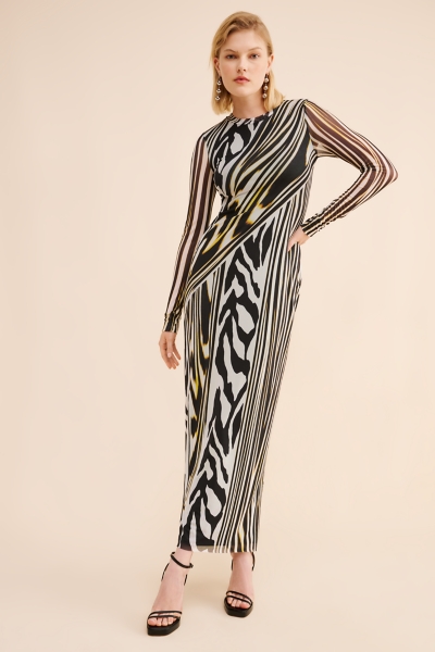 Didi Long-Sleeve Mesh Maxi Dress | Nuuly