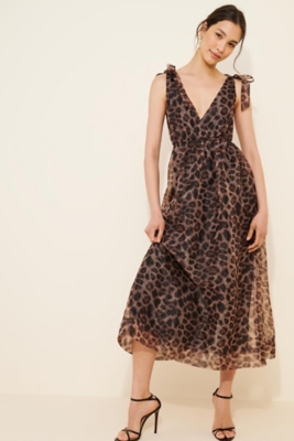 4130292120022_029_b25?$og-image$