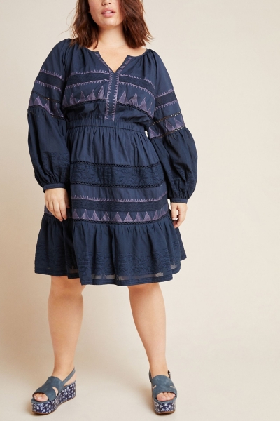 Skye Embroidered Mini Dress | Nuuly