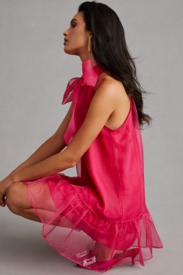 Organza Bow-Neck Mini Dress