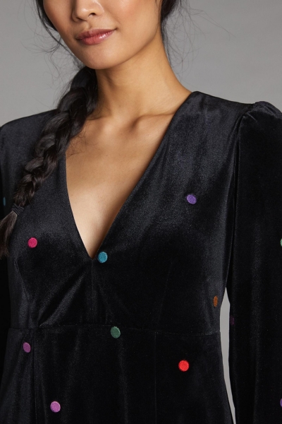 Embroidered Velvet Mini Dress | Nuuly