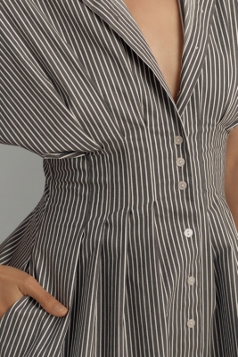 The Tobie Button-Front Pleated Mini Shirtdress