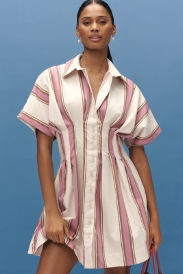 The Tobie Button-Front Pleated Mini Shirtdress