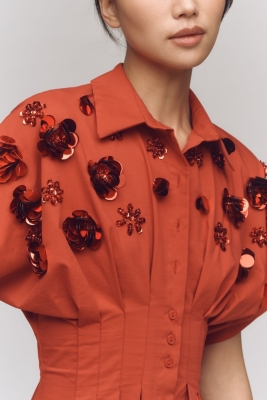 The Tobie Button-Front Pleated Shirt Dress: Sequin | Nuuly