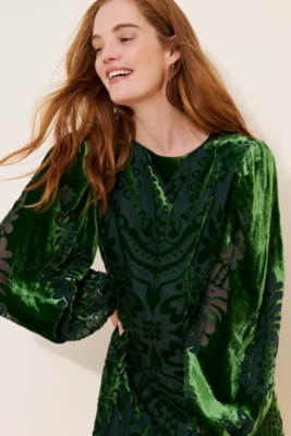 Long-Sleeve Burnout Velvet Mini Dress | Nuuly