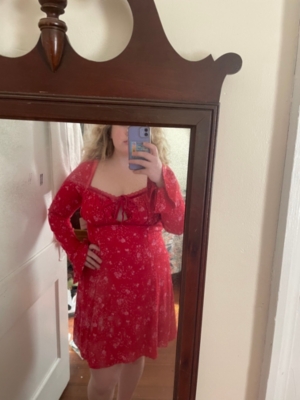 Tess Mini Dress | Nuuly