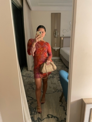 Sandra Long Sleeve Mini Dress