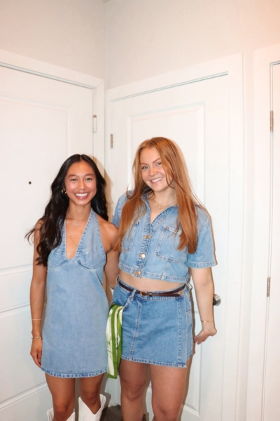 Trevi Denim Mini Dress | Nuuly