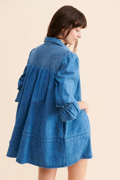 Vanessa Denim Tunic | Nuuly