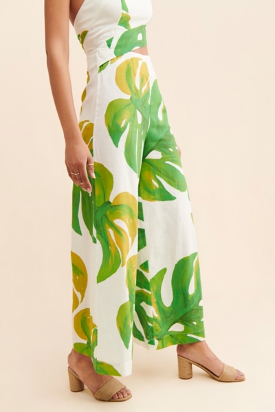 philodendron pics Philodendron Billietiae Exotic | Unique Plants for Delivery main image 0