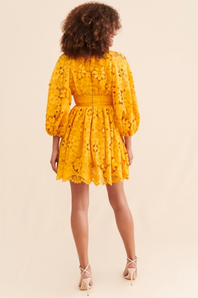 leilani mini dress Leilani Mini Dress