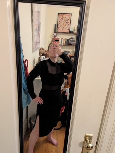 sheer side slit dress maeve by anthropologie Maeve Sheer Side-Slit Dress