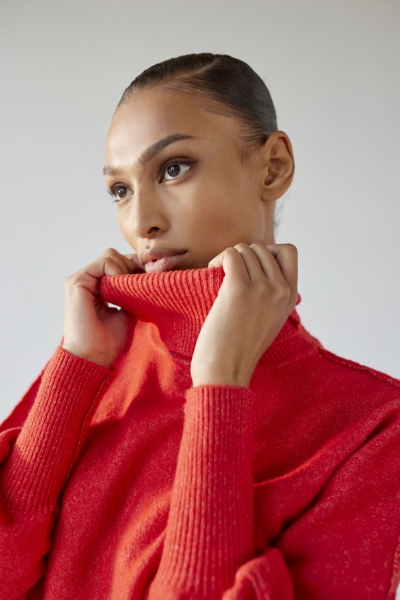 Finley Cropped Turtleneck Sweater | Nuuly