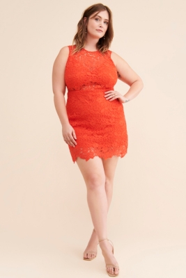 Floral Lace Sheer Mini Dress | Nuuly