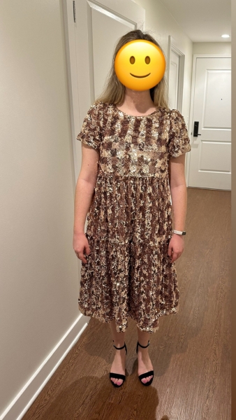 Bernadette Sequined Midi Dress | Nuuly