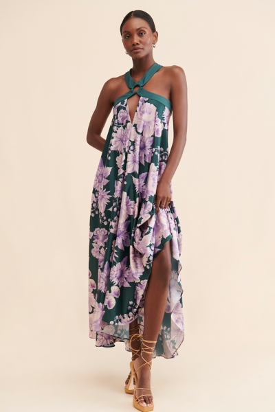 Arabella Printed Maxi Dress | Nuuly