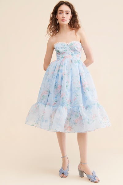 French Corset Dress | Nuuly