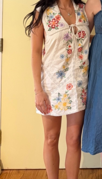willow embroidered mini dress Willow Lace Mini Dress