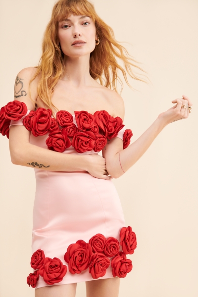 silence noise audrey red a line mini slip dress Organza Long Sleeve V Neck A Line Dress with Bow – Camille La Vie main image 0