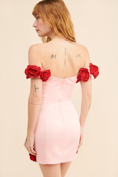The Rosalie Mini Dress | Nuuly