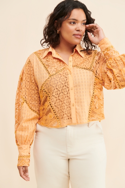 Crafted Lace Button Down Blouse | Nuuly