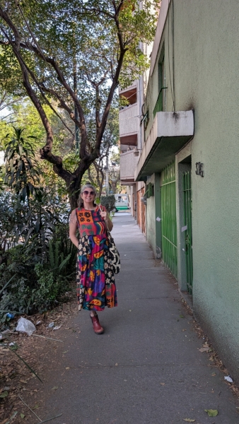 Pop Print A-Line Dress | Nuuly