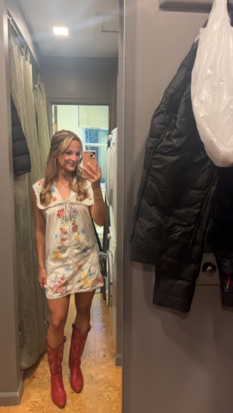 Willow Embroidered Mini Dress