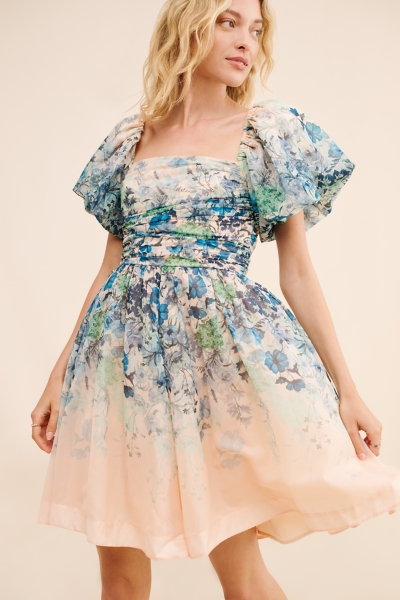 chinese dress ladies Willa Floral May Jacquard Tiered Mini Dress White-Blue / M by Sugarlips