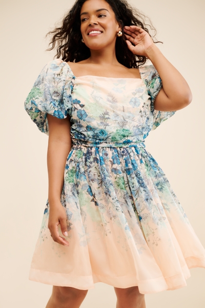 pink midi dresses Petal and Pup Women's Augustine Midi Dress
