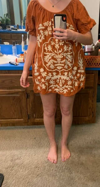 Fiona Embroidered Mini Dress
