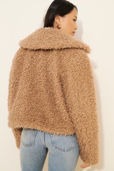 Cool & Cozy Teddy Coat | Nuuly