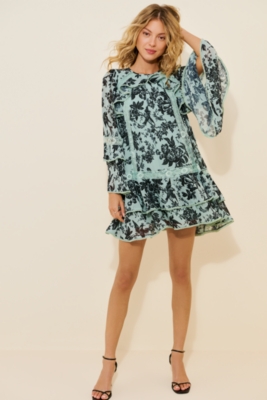 Chiffon Long Sleeve Mini Dress