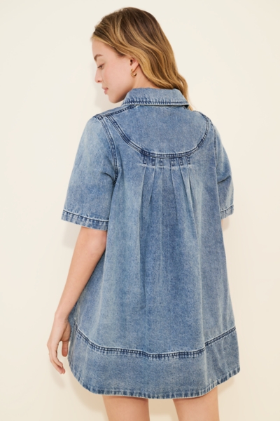 Remino Denim Mini Dress | Nuuly