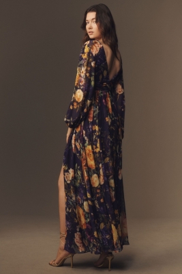 Long Sleeve V-Neck Sheer Maxi Dress | Nuuly