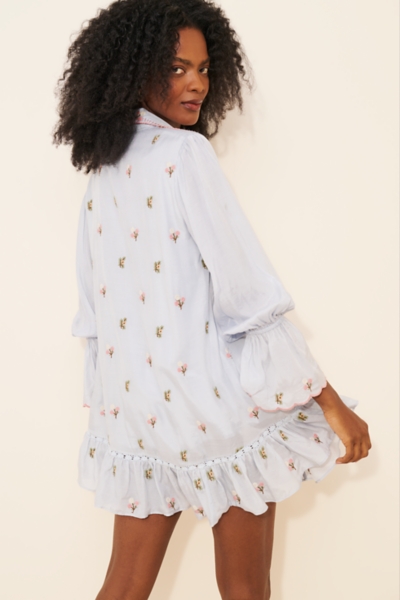 Embroidered Floral Mini Dress | Nuuly