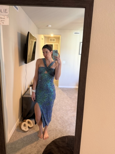 saylor faena sequin dress Faena Sequin Dress
